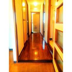 プラトゥモリのサムネイル