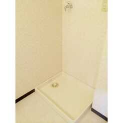 プラトゥモリのサムネイル