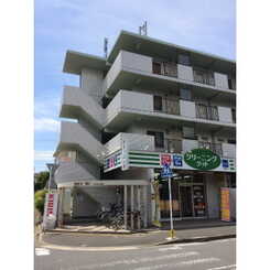 プラトゥモリのサムネイル