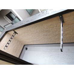 アムール シャイニーのサムネイル