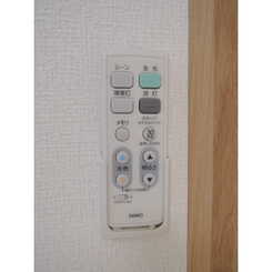 アムール シャイニーのサムネイル