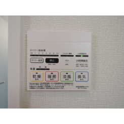 アムール シャイニーのサムネイル