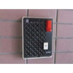 TM石井のサムネイル