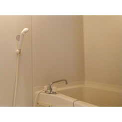 TM石井のサムネイル