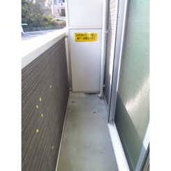 アムール鈴木のサムネイル