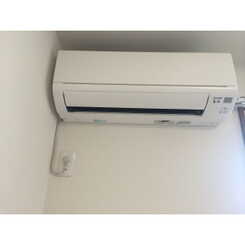 アムール 桜のサムネイル