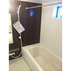 アムール 桜のサムネイル