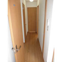 アムール レオのサムネイル