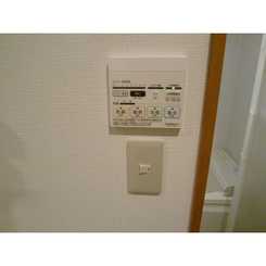 アムール レオのサムネイル