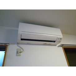 アムール レオのサムネイル