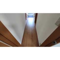 アムール レオのサムネイル