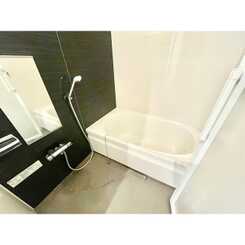 アムール　レオのサムネイル