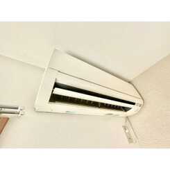 アムール　レオのサムネイル