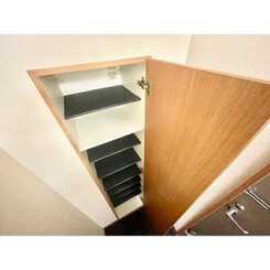 アムール　レオのサムネイル