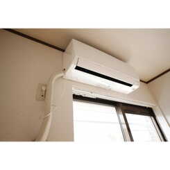 ピリカチャーシーのサムネイル