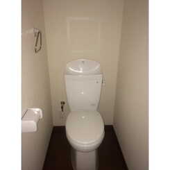 ベラヴィスタのサムネイル