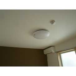 デュラ・カーサコンフォルターブルⅡのサムネイル