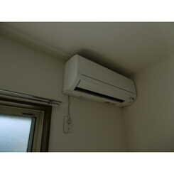 アムールSⅠのサムネイル