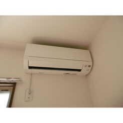 アムールSⅠのサムネイル