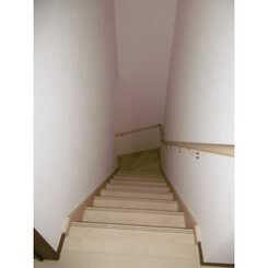 アムールSⅠのサムネイル