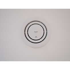 ピーズフィーストのサムネイル