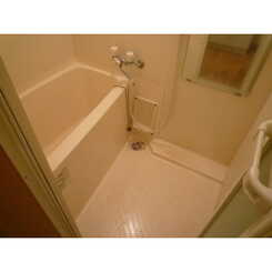 ミレーユⅡのサムネイル