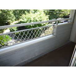 ミレーユⅡのサムネイル