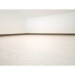 Girasol Mのサムネイル