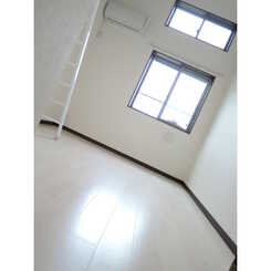 Girasol Mのサムネイル