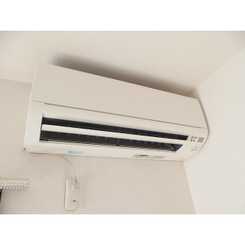 アムール Islandのサムネイル