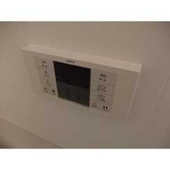 アムール Islandのサムネイル