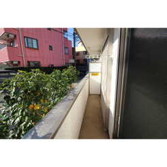 アムール Eastのサムネイル