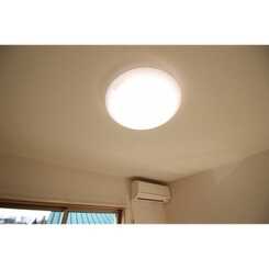 アムール Westのサムネイル