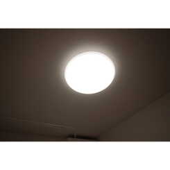 アムールSⅢのサムネイル