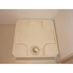 デュラ・カーサ根光Ⅱのサムネイル