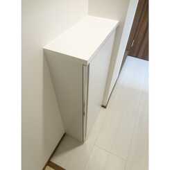 ソフィー川崎のサムネイル