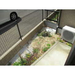 シーゲルハウスAのサムネイル