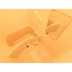 Central　Forestのサムネイル