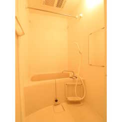 Central　Forestのサムネイル