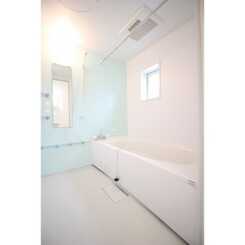 アムールSⅡのサムネイル