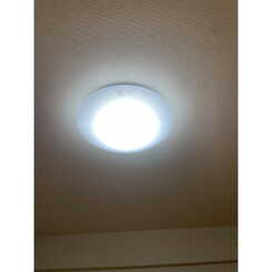 アムール　ＴＯＲＩＩのサムネイル