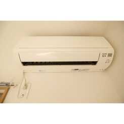 アムール Starのサムネイル