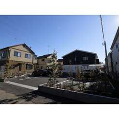 アムール Starのサムネイル