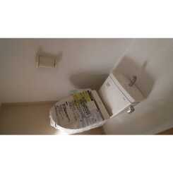 M.Feliceのサムネイル