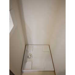 アムール Moonのサムネイル