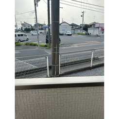 Vientoのサムネイル