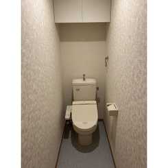 Vientoのサムネイル