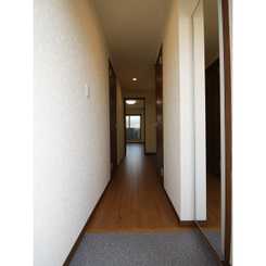 wisteriaのサムネイル