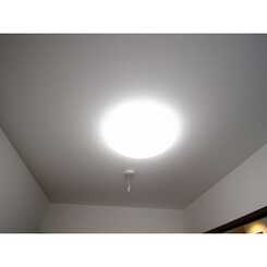 デュラカーサ コブシⅣのサムネイル