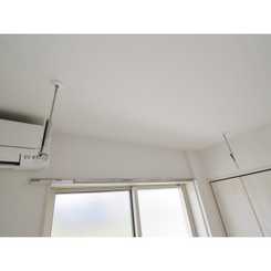 アムール橘のサムネイル